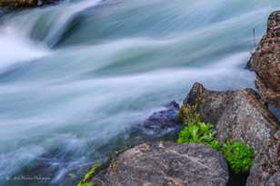 Deschutes River-1350